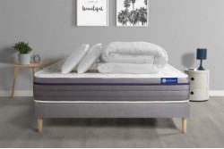 actimemo_zen_c_packg-b8a4d15a5bed59f0fc0ad4192d3017da